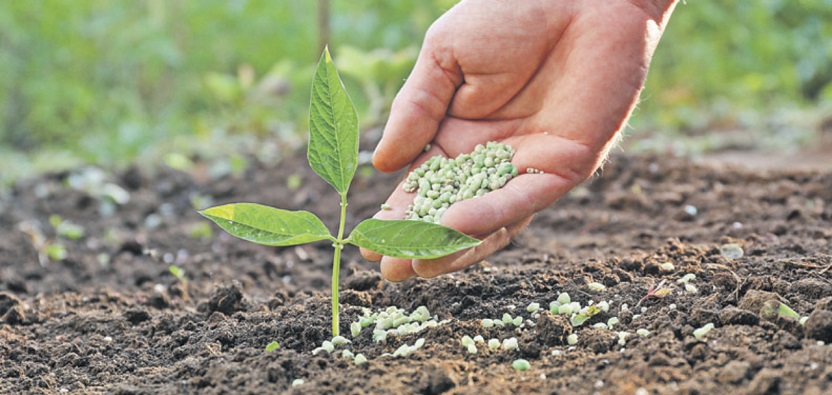 Konya Ereğli'de 'sahte' gübre skandalı