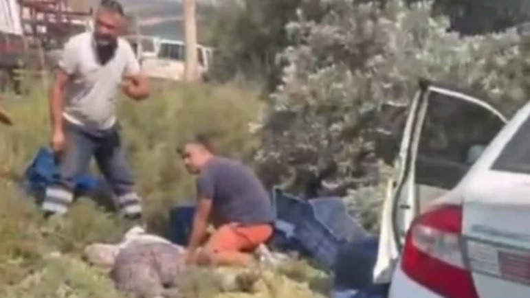 Mersin'de otomobil bahçeye daldı: Ölü ve yaralılar var