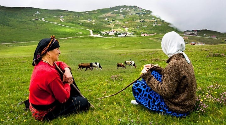 Son 50 yılda her 2 meradan biri kayboldu!