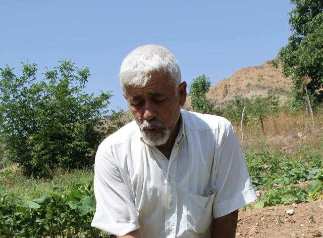 İsimsiz badem türevi Çankırı'da