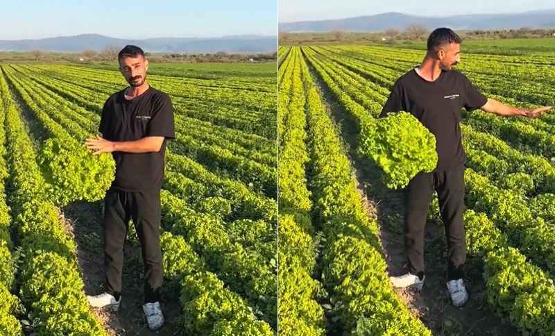 'Satarsam şerefsizim' diyen çiftçinin isyanı pahalıya patladı