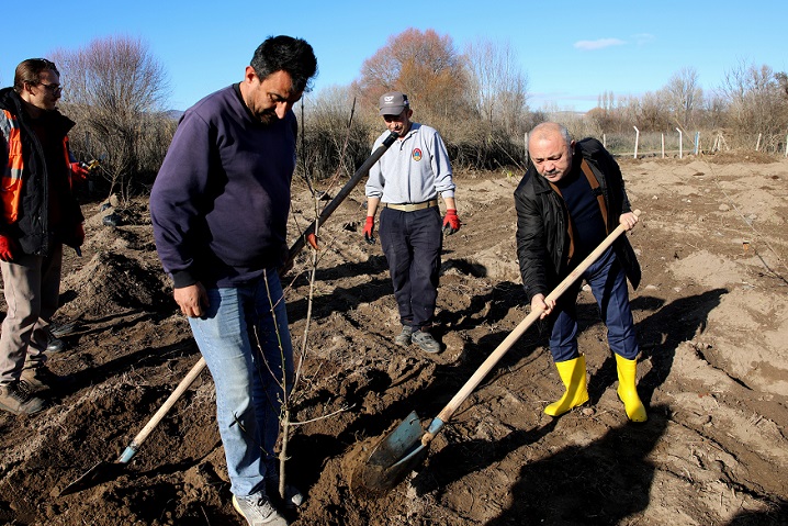 Kızılcık ağaçları tescilli 'Çankırı Kızılcık Eğşisi'ne güç katacak