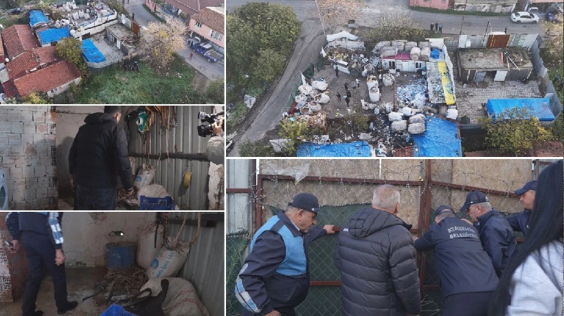 İstanbul'da at kesilen depoya baskın! Mide bulandıran itiraf
