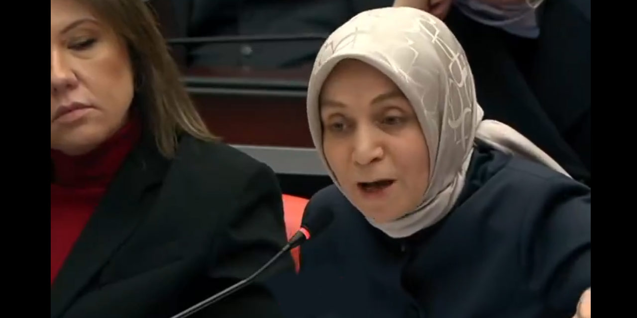 AKP'li Leyla Usta'nın 'Aleviler' hakkındaki sözleri tepki topladı