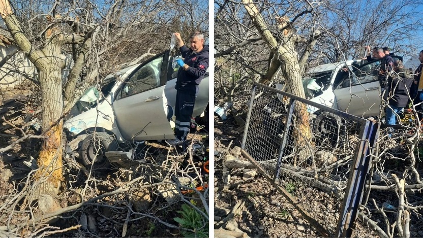 Aydın'da kontrolden çıkan araç ağaca saplandı: İki can kaybı