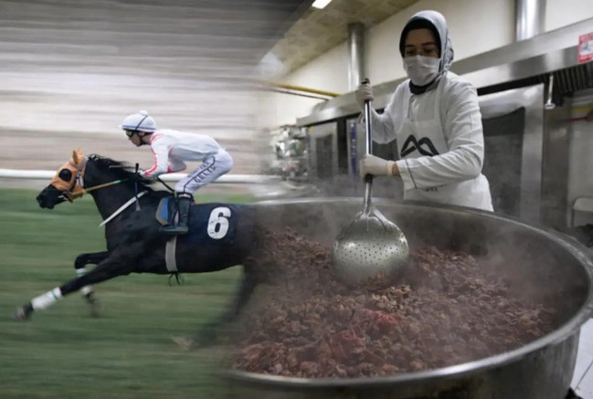 Mersin'de belediyeye ait aşevinde skandal: Şampiyon atı kavurma diye yedirdiler