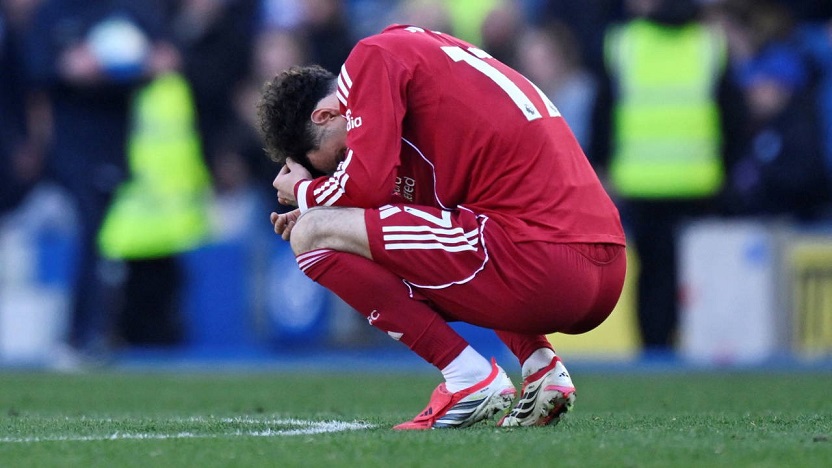 Brighton & Hove Albion  2-1 Liverpool