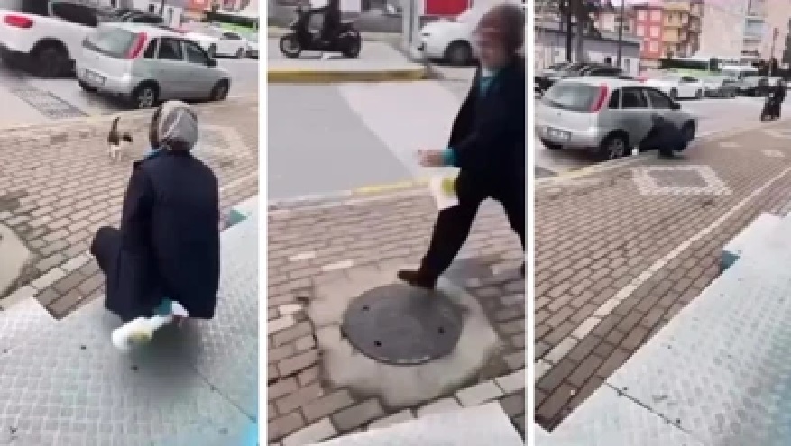 Kedinin yüzüne sprey sıkan market çalışanı gözaltına alındı