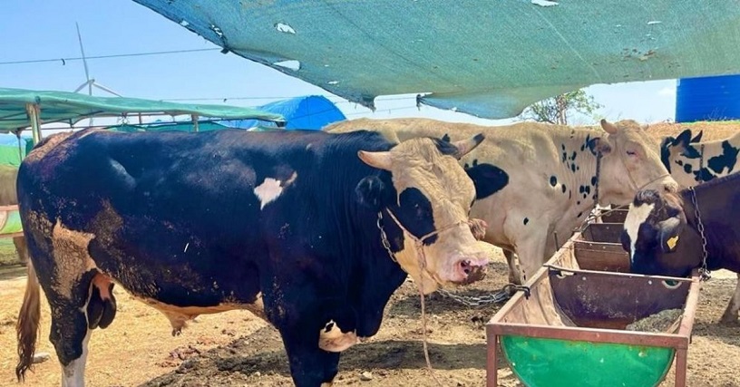 Çankırı'da kurban kesim ücretleri ve kurban kesim alanları belirlendi