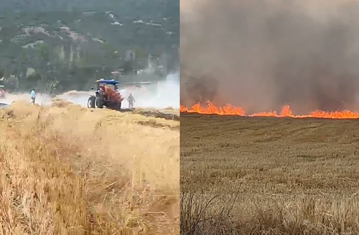 Çorum'da yangın sonucu 2 bin dönüm arazi küle döndü