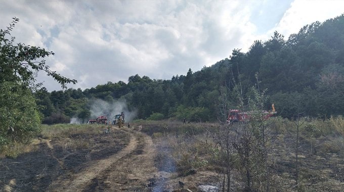 Bursa'da orman yangını! Ekipler havadan ve karadan müdahale ediyor