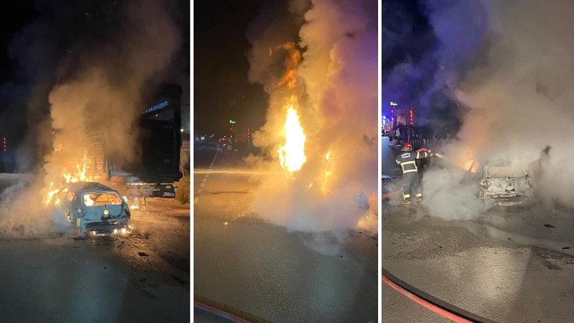 Kastamonu'da TIR alev aldı, hayvanlar yola savruldu