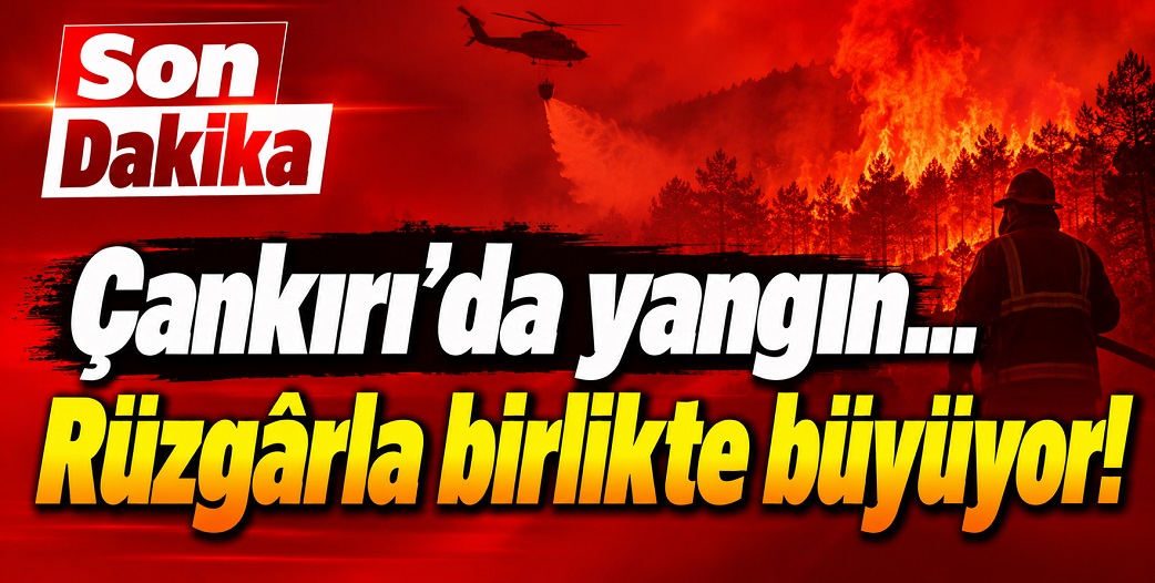 Son dakika... Çankırı'da arazi yangını... Giderek büyüyor