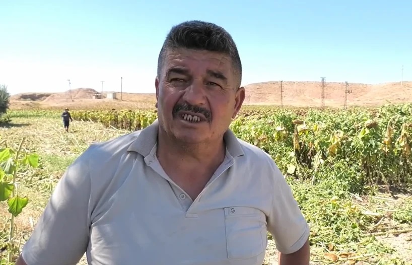 Çiftçi böyle feryat etti: Borcumu kapatabilmek için tarlamı sattım