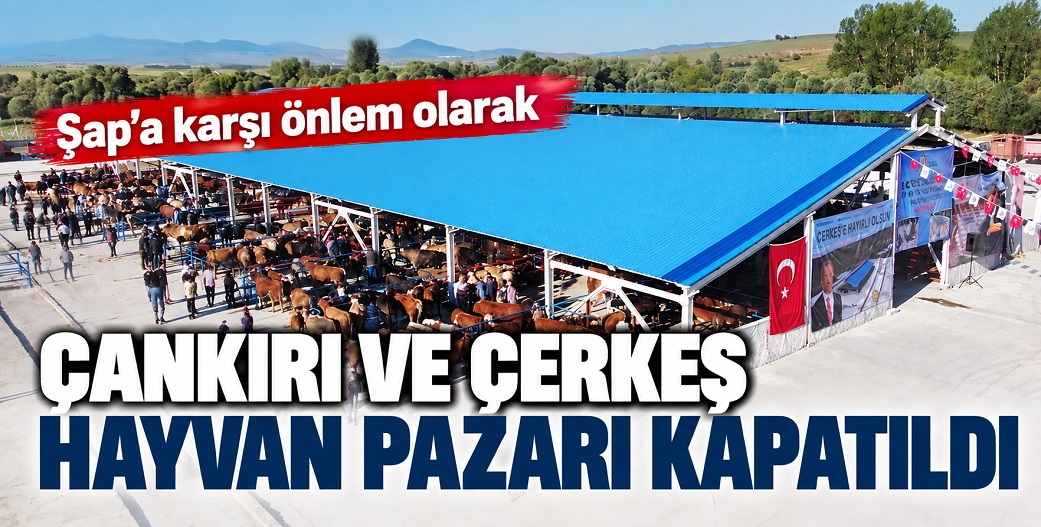 Çankırı'da hayvan pazarları kapatıldı!