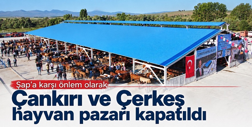 Çankırı'da hayvan pazarları kapatıldı!