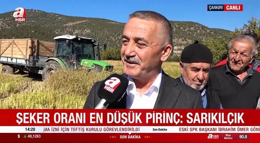 Mehmed Öztürk, A Haber 'canlı' yayınında 'sarıkılçık' pirinci hasadına katıldı