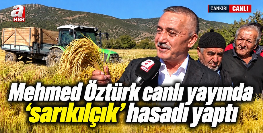 Mehmed Öztürk, A Haber 'canlı' yayınında 'sarıkılçık' pirinci hasadına katıldı
