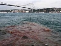 Boğaz yine kızıla boyandı
