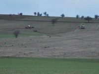 Uşak'ta kardeş cinayeti