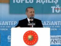 Erdoğan bu anketi gördü, mitinglerini iptal etti
