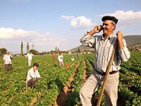 Binlerce ölüye 'çiftçi kredisi'