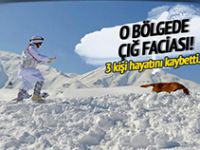 Elazığ'da çığ faciası: Cesetlere ulaşıldı