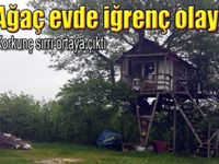 Ağaç evde taciz şoku!