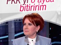 Akşener: PKK'nın belini 6 ayda kırarız