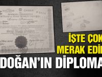 İşte Erdoğan'ın diploması