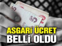 2018 yılı asgari ücretleri belli oldu
