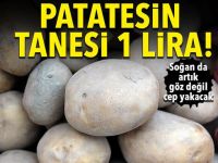 Patatesin kilosu 6 liraya çıktı, soğan 6.5 lira!