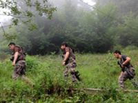 Giresun'da PKK'lı teröristlerle çatışma! 1 asker şehit oldu
