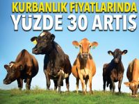 Kurbanlıkların fiyatlarında geçen yıla göre yüzde 30 fark var