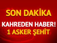 Milli Savunma Bakanlığı acı haberi duyurdu: 1 asker şehit