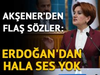 Meral Akşener'den 'Trabzon-Yunan' tartışmalarıyla ilgili sert açıklama