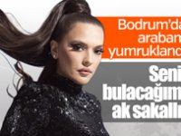 Demet Akalın, trafikte yaşadığı saldırıyı anlattı