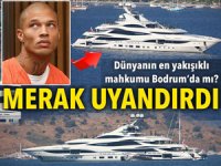 150 Milyon dolarlık 'Lionheart' Bodrum’da