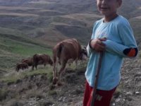 Son dakika... Çankırı'da kaza! Bir can kaybı
