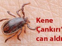 Çankırı'da kene ısırması sonucu ölüm!