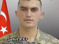 Bir acı haber de Şemdinli'den!
