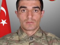Şehit ateşi Kars'a düştü