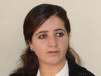 Van/Saray Belediye Başkanına gözaltı