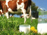 Hükümet çiftçiyi bir kez daha kandırdı