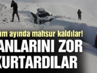 Rize'de kasım ayında mahsur kaldılar!