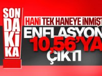 Kasım ayı enflasyon verileri açıklandı