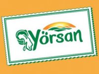 Cihat Şimşek Yörsan'a kayyım olarak atandı