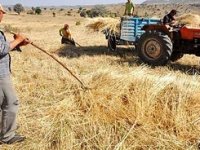 Çankırılı çiftçiye kredi tamam, hayvancılık yapana 'indirim' yok!