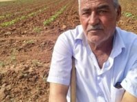 Kızılırmak'da 2 kardeş arasındaki miras kavgası ölüm getirdi!