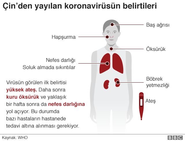 110637022-coronavirus-symptoms-short-640-nc.png